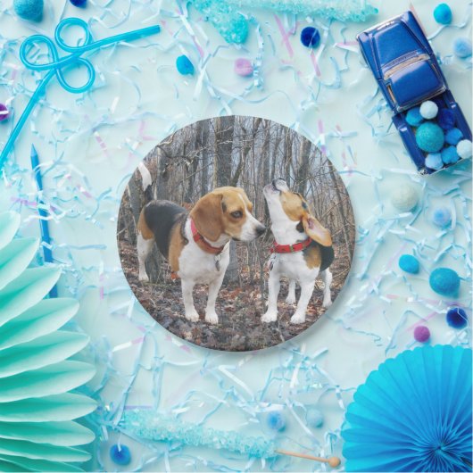 Beagle en vriend in Bossen Papier Bord (Feest)
