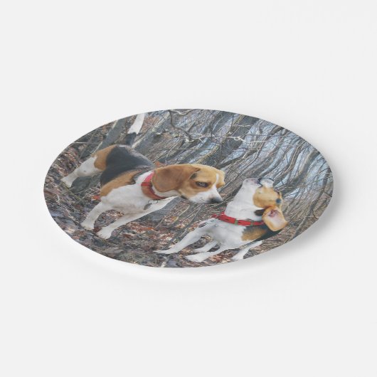 Beagle en vriend in Bossen Papier Bord (Gekanteld)