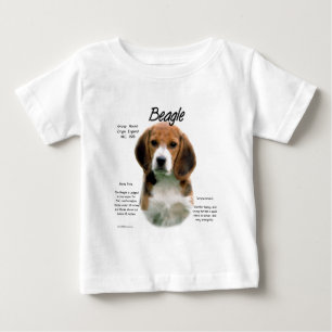 Beagle geschiedenis; Alles over Beagles