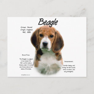 Beagle geschiedenis; Alles over Beagles Briefkaart