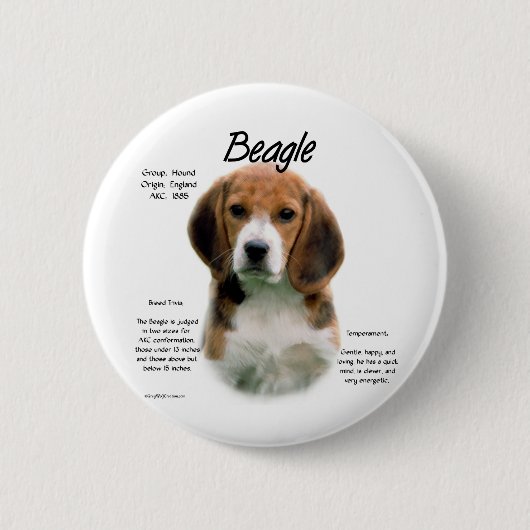 Beagle geschiedenis; Alles over Beagles Ronde Button 5,7 Cm (Voorkant)