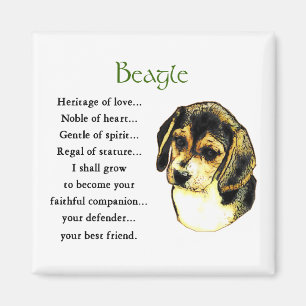 Beagle Gifts Magneet