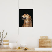 Beagle Golden Lab Mix kijkt naar de zijkant Poster (Keuken)