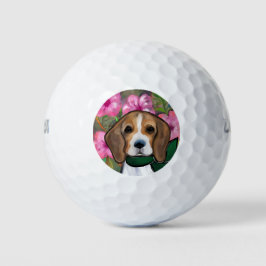 Beagle Golfballen