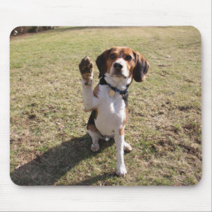 Beagle High Vijf Muismat