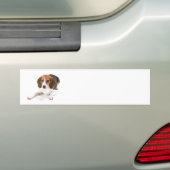 Beagle-hond bumpersticker (Op auto)