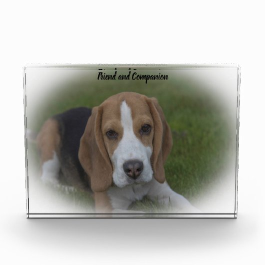 Beagle Hond Fotoblokken (Voorkant)