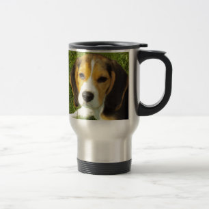 Beagle hond huisdieren dieren vrede liefde reisbeker