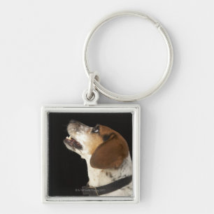Beagle hond met zwart profiel sleutelhanger