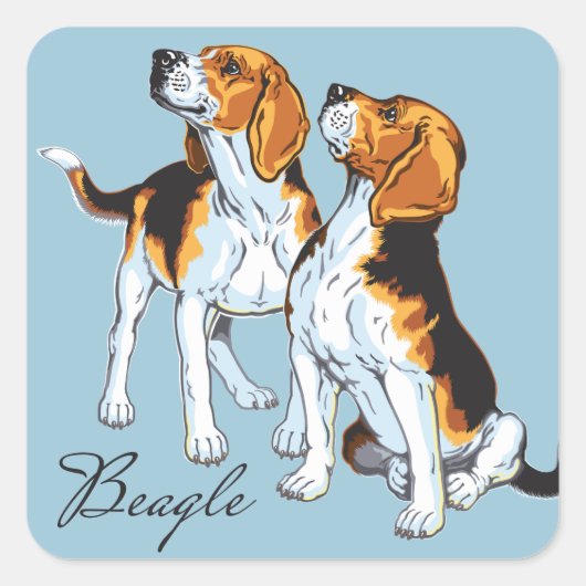 beagle hond vierkante sticker (Voorkant)