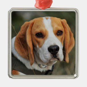 Beagle Hound Dog Metalen Ornament