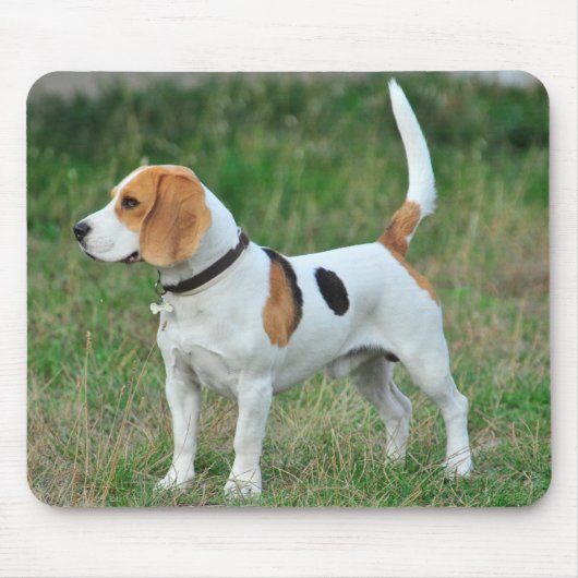 Beagle Hound Dog Muismat (Voorkant)
