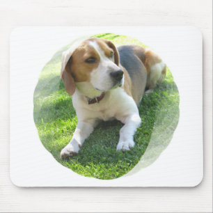 Beagle Hound Dog Muismat