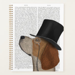 Beagle, Hound officiel et Casquette