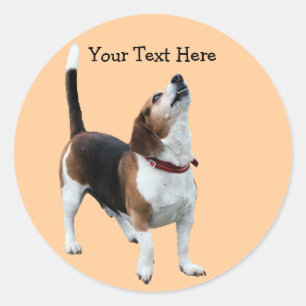 Beagle Howling Schattige Dog Sticker