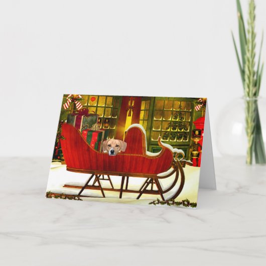 Beagle in een kerstslee feestdagen kaart (Voorkant)