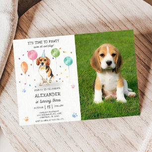 Beagle Laat Pawty Hond Puppy Verjaardag Blauw Foto Kaart