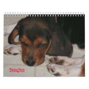 Beagle Lover Agenda Kalender
