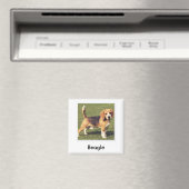 Beagle Magneet (Insitu (Vaatwasser))