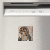 Beagle Magneet (Insitu (Vaatwasser))