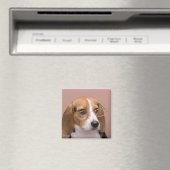 Beagle Magneet (Insitu (Vaatwasser))