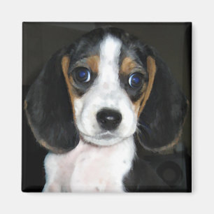 Beagle Magnet 2 Magneet