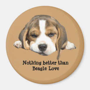 Beagle Magnet Magneet