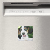 Beagle Magnet Magneet (Insitu (Vaatwasser))