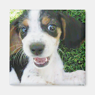 Beagle Magnet Magneet