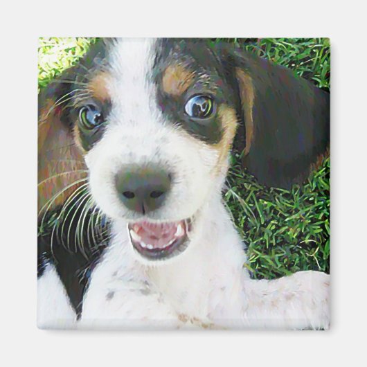 Beagle Magnet Magneet (Voorkant)