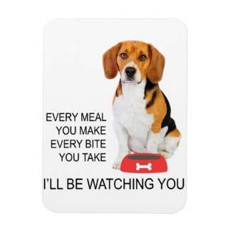 beagle mam elke maaltijd die je maakt, kijkt naar  magneet