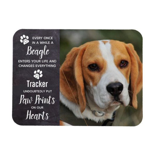 Beagle Memorial Magneet (Horizontaal)