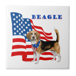 Beagle met Amerikaanse vlag Tegeltje