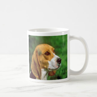 Beagle Mok
