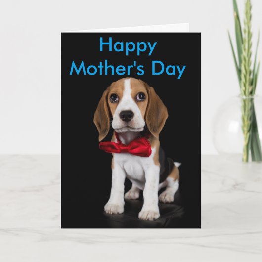 Beagle Mother's Day Card Kaart (Voorkant)
