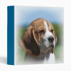 Beagle Multomap 1" Multomap
