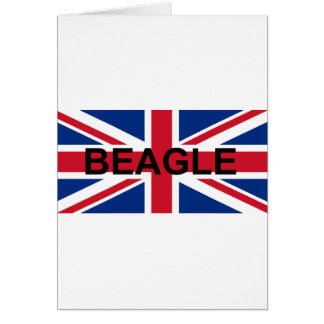 beagle name england United_Kingdom vlag