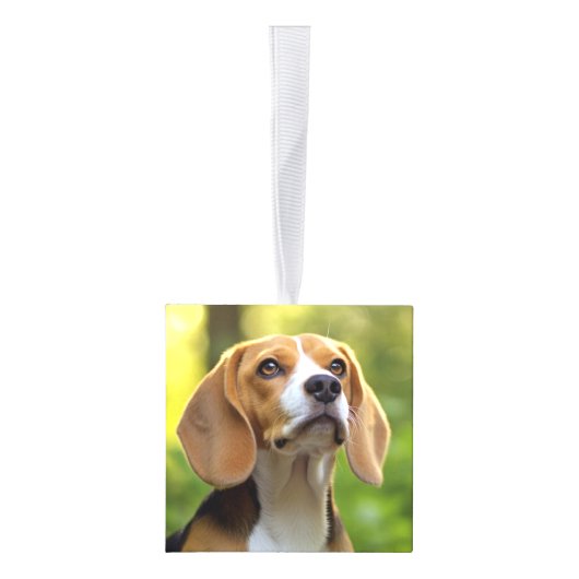 Beagle Name Two Photo Kerstvakantie Kubus Ornament (Rechts)