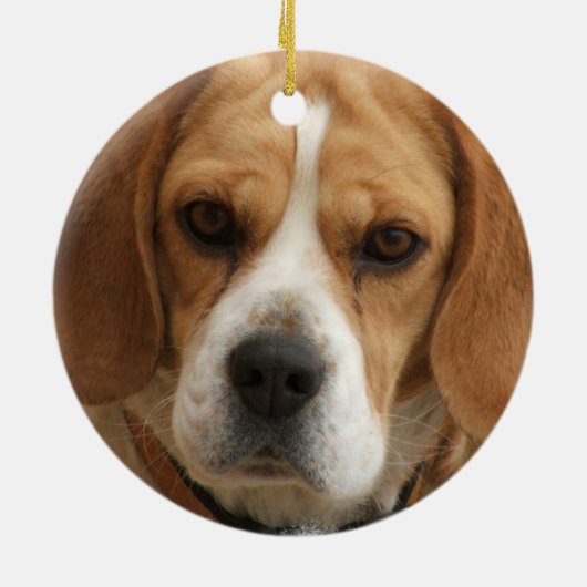 Beagle Ornament (Achterkant)