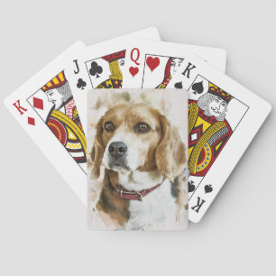 Beagle Pokerkaarten