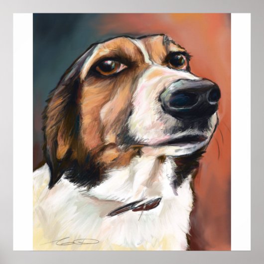 Beagle Portrait | Tekening van gekleurd potlood Poster (Voorkant)