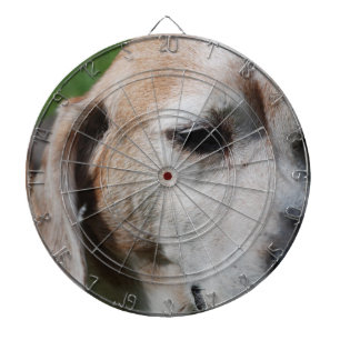 beagle portret dartbord