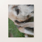 beagle portret legpuzzel (Verticaal)