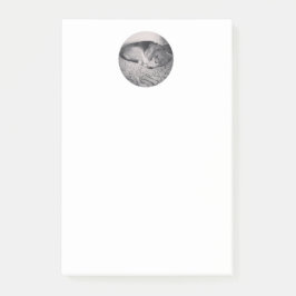 beagle post het briefje post-it® notes