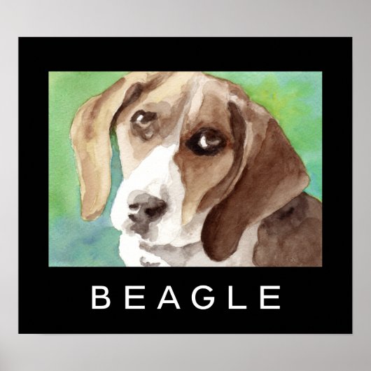 Beagle-Posters Poster (Voorkant)