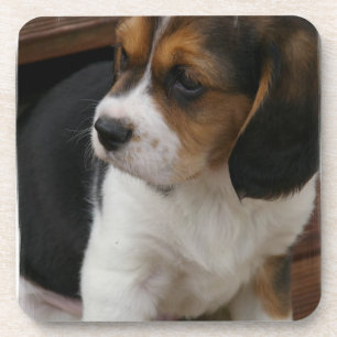 Beagle Pup Cork Onderzetters