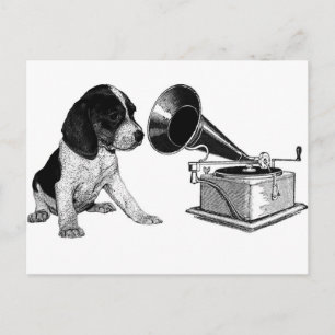 Beagle Pup met Gramophone Briefkaart