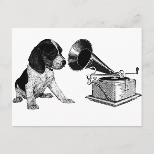 Beagle Pup met Gramophone Briefkaart (Voorkant)