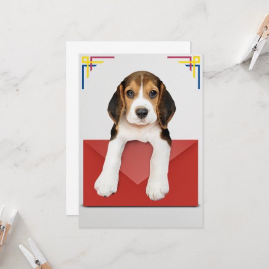 Beagle pupil met rode envelop kaart (Voorkant / Achterkant in situ)