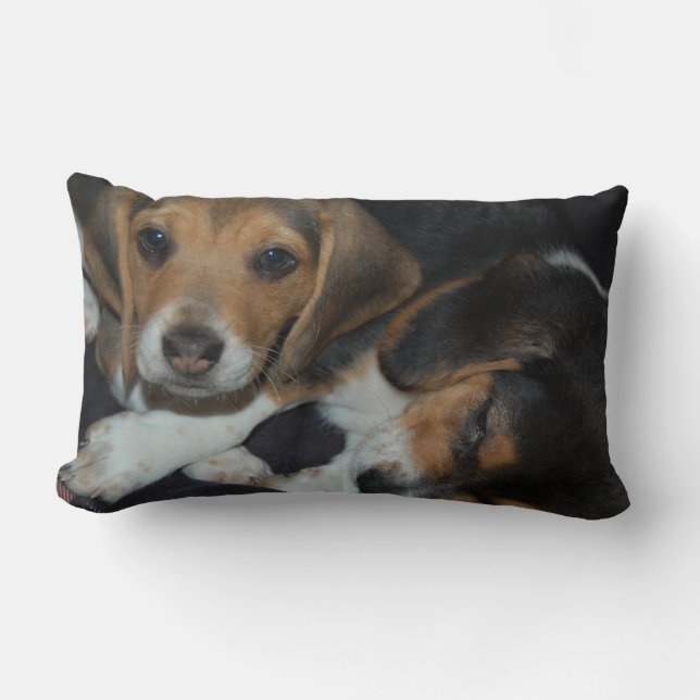 Beagle Puppies Pillow Kussen (Voorkant)